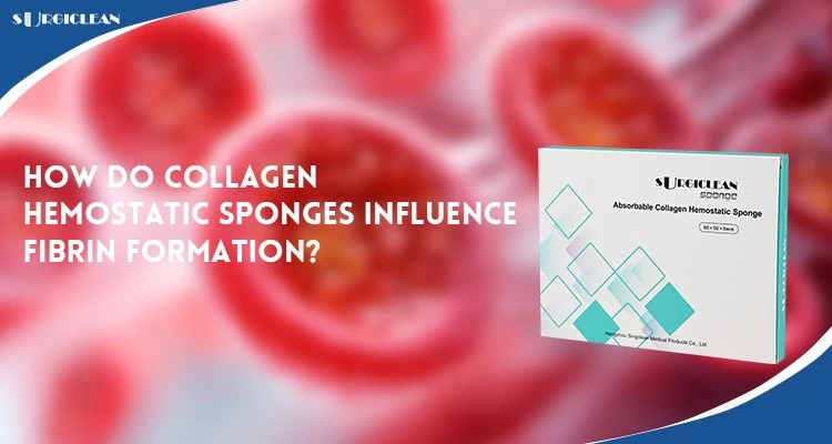 Collagen-Hemostatic-Sponges-Influence-Fibrin Collagen-Hemostatic-Sponges-Influence-Fibrin